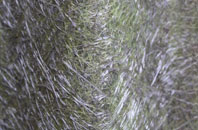 Northington fibreglass roof work